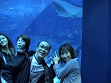 沖縄美ら海水族館2